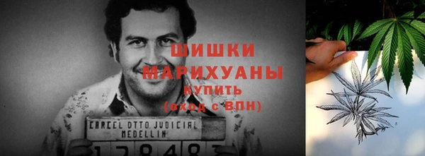 Альфа ПВП Абаза