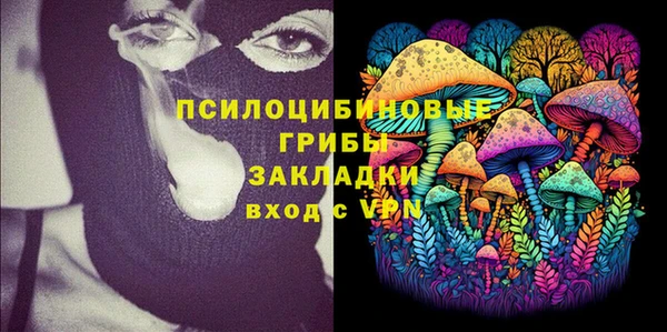 мдпв Абинск