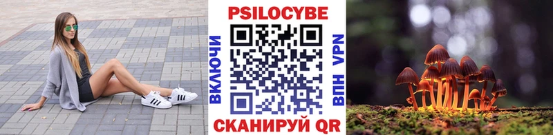Галлюциногенные грибы прущие грибы  кракен tor  Кимовск 