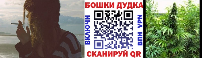 MEGA зеркало как найти наркотики Кимовск МАРИХУАНА конопля